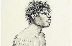 lesueur